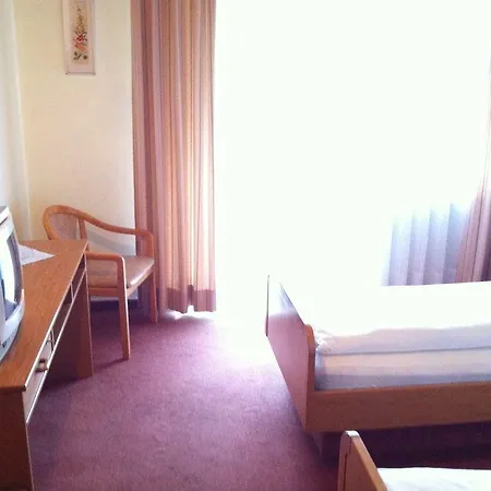 Inn Bacchusstube Garni